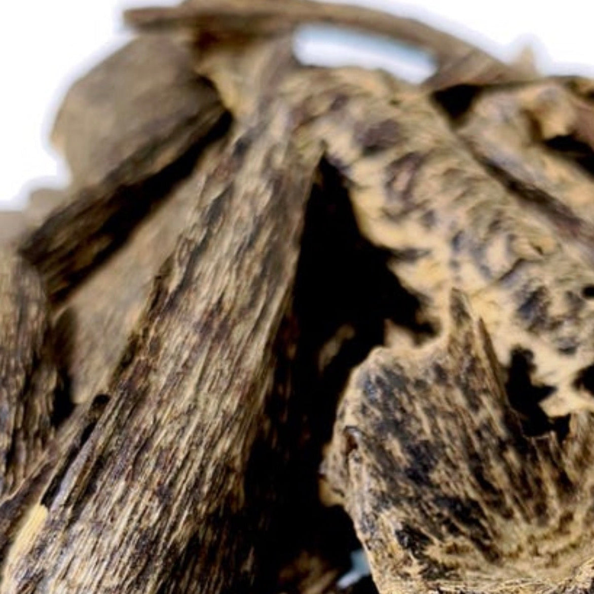 Ambergris Nucifera | Brunei
